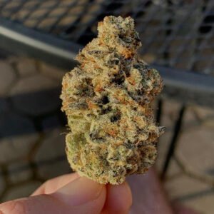 Skunk Funk