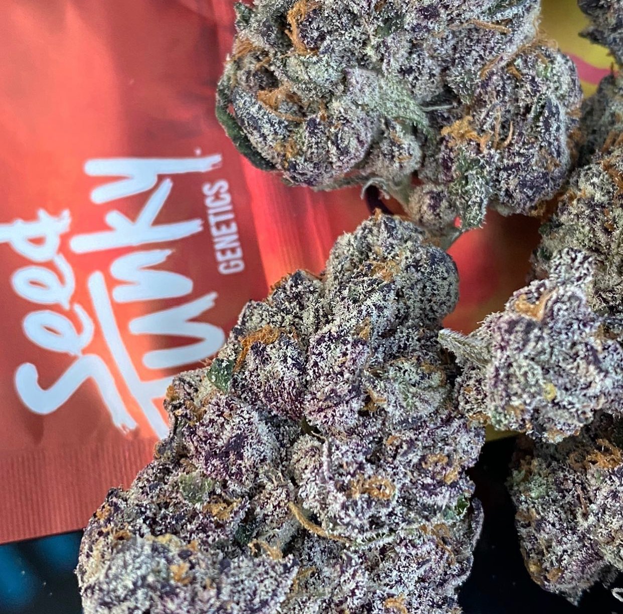 Ancient OG