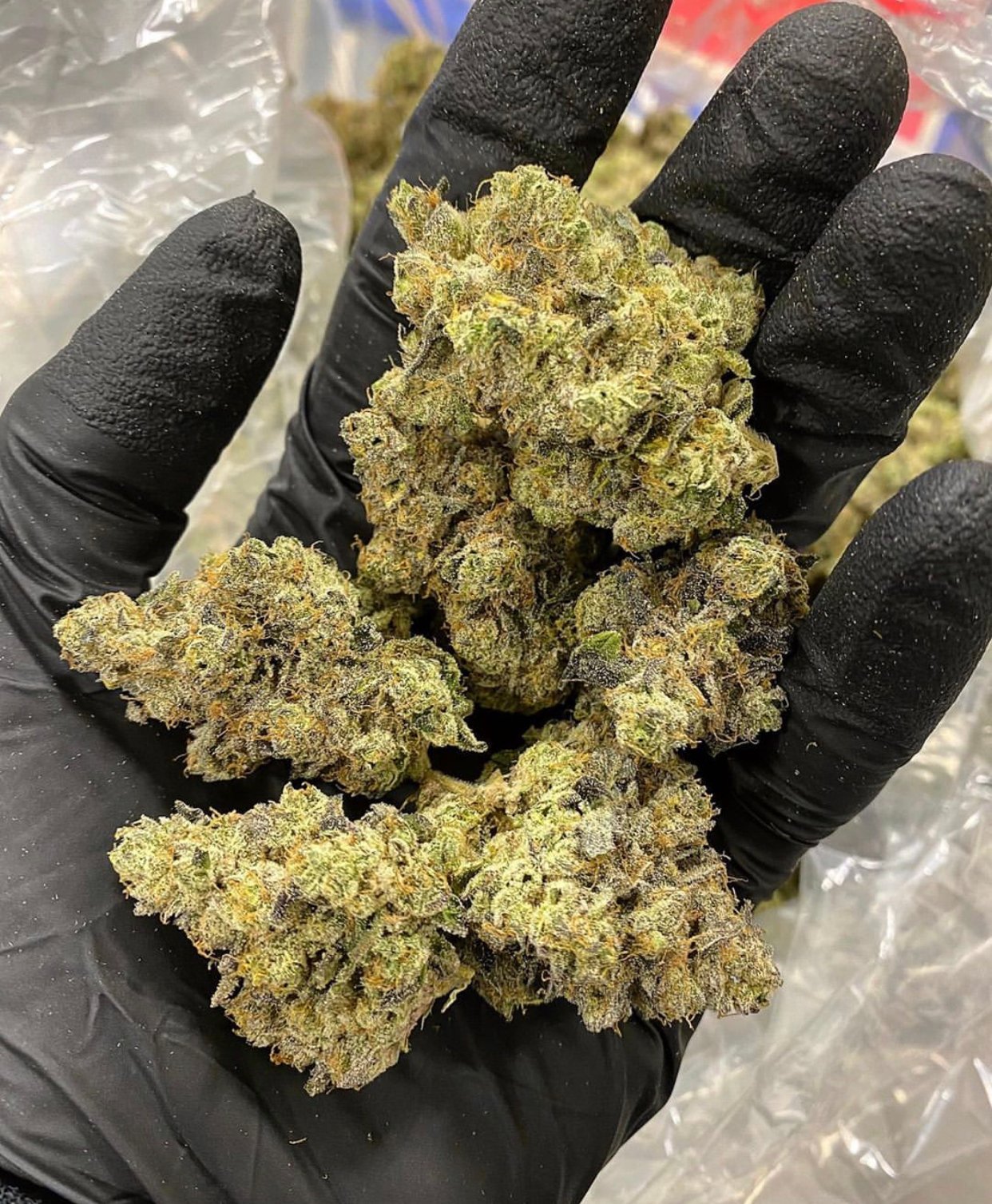Amnesia Haze