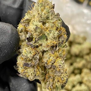 Lemon Sour Diesel
