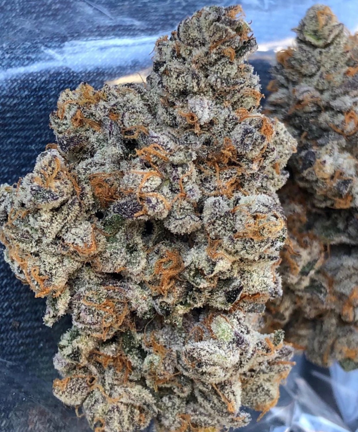 Kush Mints 11
