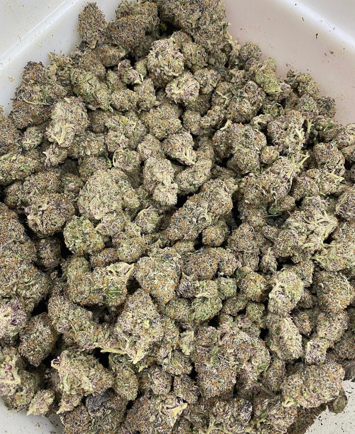 Green Crack