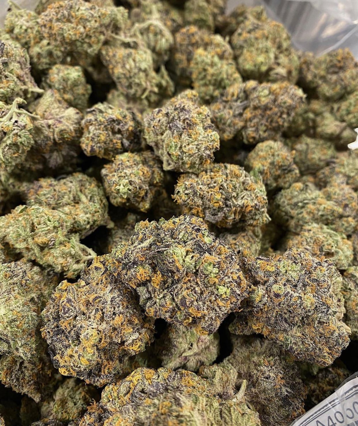 Gorilla Glue