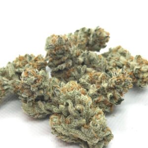 Girl Scout Cookies